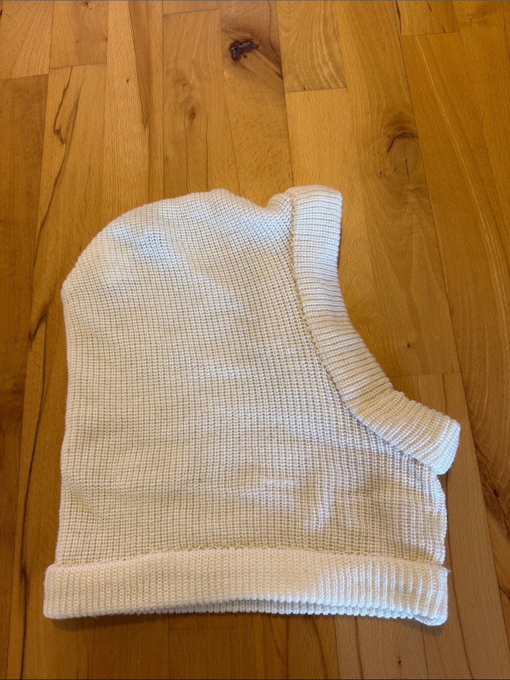 Bogner Ski Head Cover